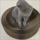 Corrugated Scratching Board Organ Nest Foldable Large Cat Toy Claw Sharpener Pet Supplies