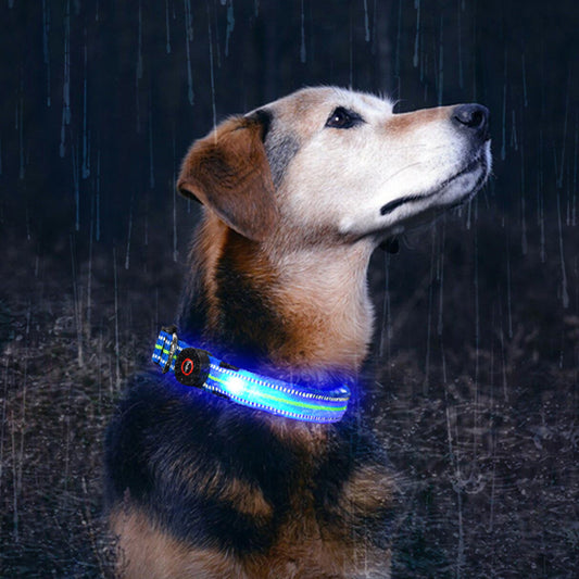 Fiber Optic Waterproof Magnetic Charging Pet Collar - Pet Perfection