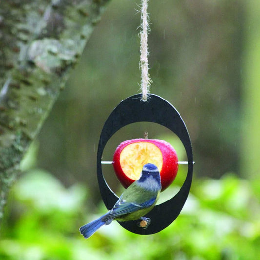 Simple Hanging Yellow Oriole Bird Fruit Feeder - Pet Perfection