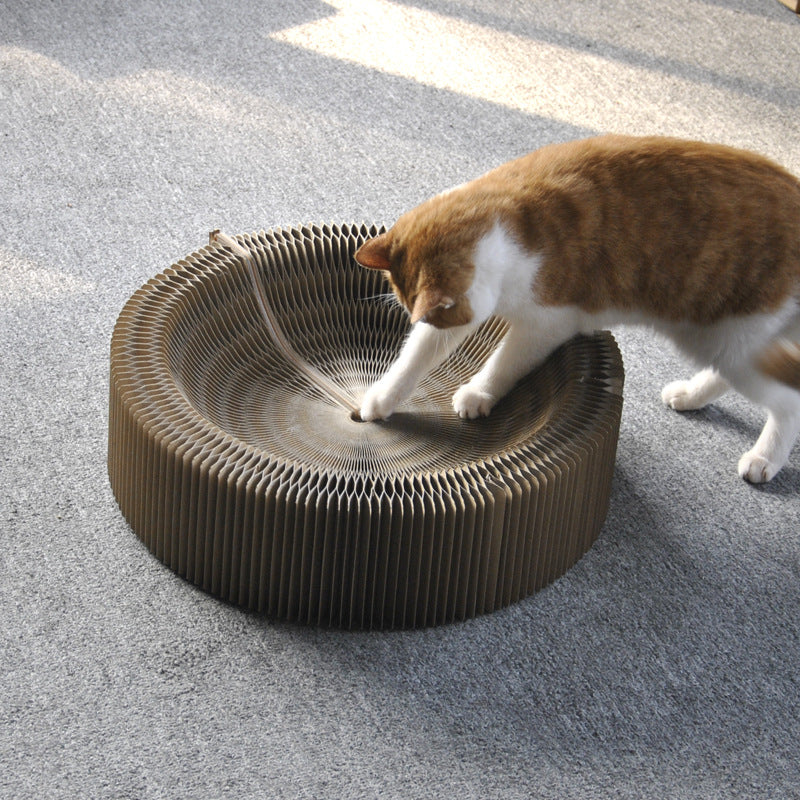 Corrugated, Foldable Large Cat Toy & Claw Sharpener - Pet Perfection
