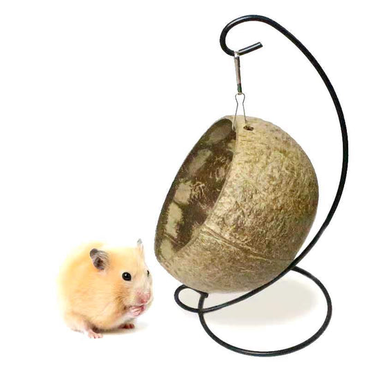 Hamster Toys Guinea Pig Golden Bear Hanging Nest Cotton Nest Bedroom - Pet Perfection