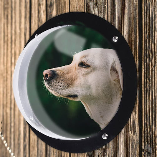 Dedicated Doggy Fence Window - Acrylic Fence - Pet Perfection