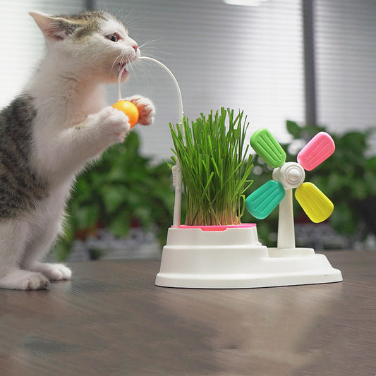 Windmill Funny Cat Stick Toy Desktop Grass Box Pet Toys - Pet Perfection