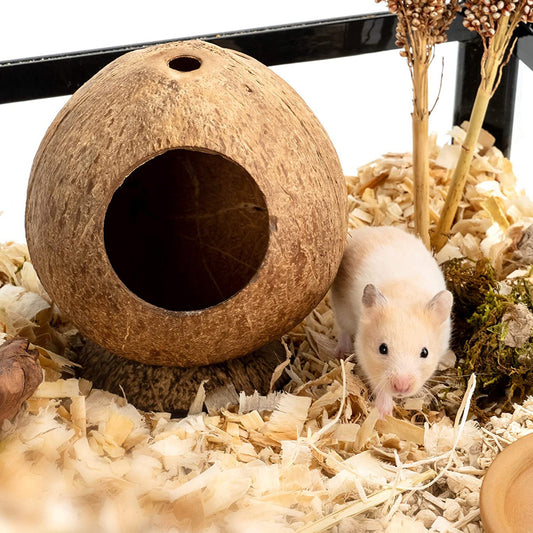 Warm Hamster Coconut Shell Nest With Base - Pet Perfection