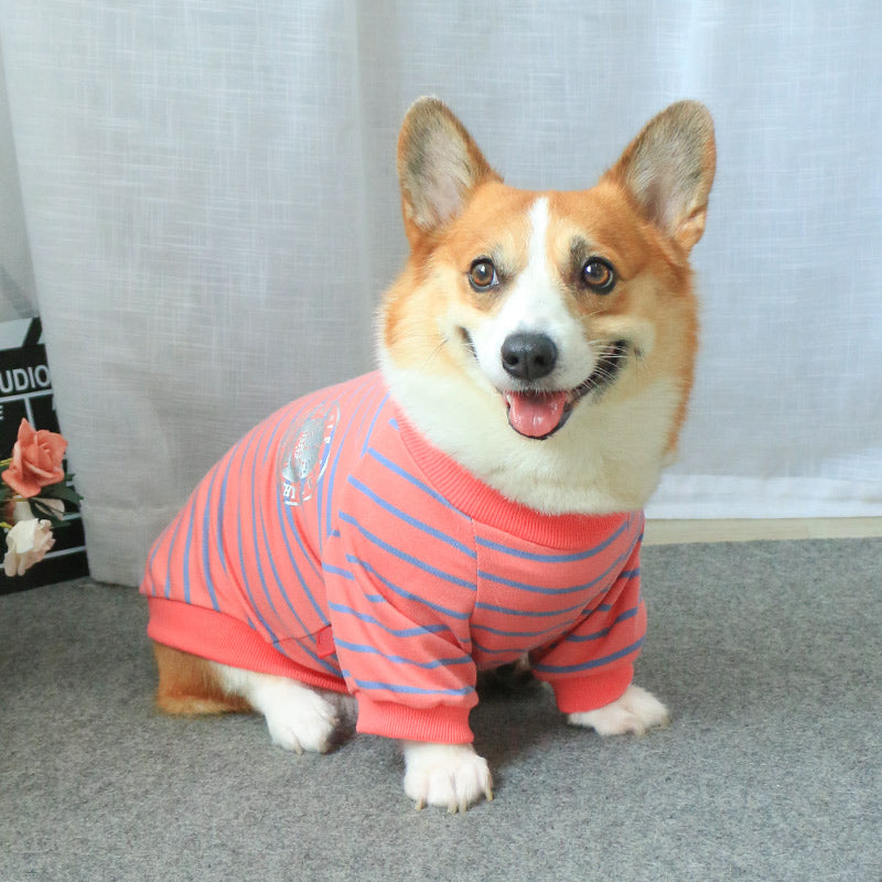 Dog Clothes Sweater New Pet Owner Parent-child Wear - Pet Perfection
