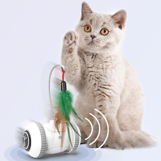Interactive Cat Toy With Interchangeable Heads  Pet Feather Toys - Pet Perfection