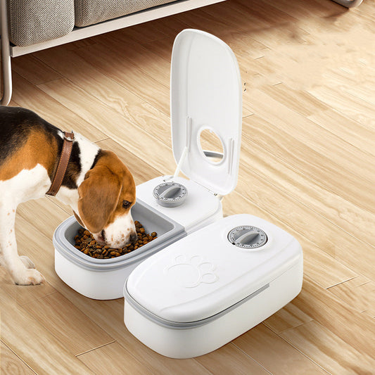 Automatic Pet Feeder Smart Food Dispenser For Cats Dogs Timer Stainless Steel Bowl Auto Dog Cat Pet Feeding Pets Supplies - Pet Perfection