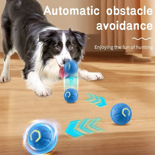 Automatic Rolling Or Bouncing Ball