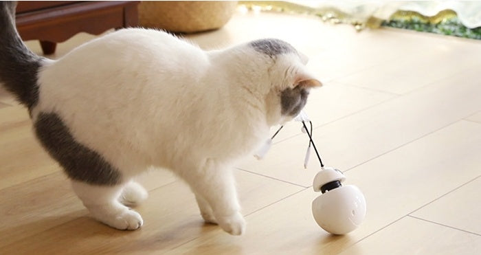 3-in-1 Robot Spinning Tumbler & Laser Cat Toy