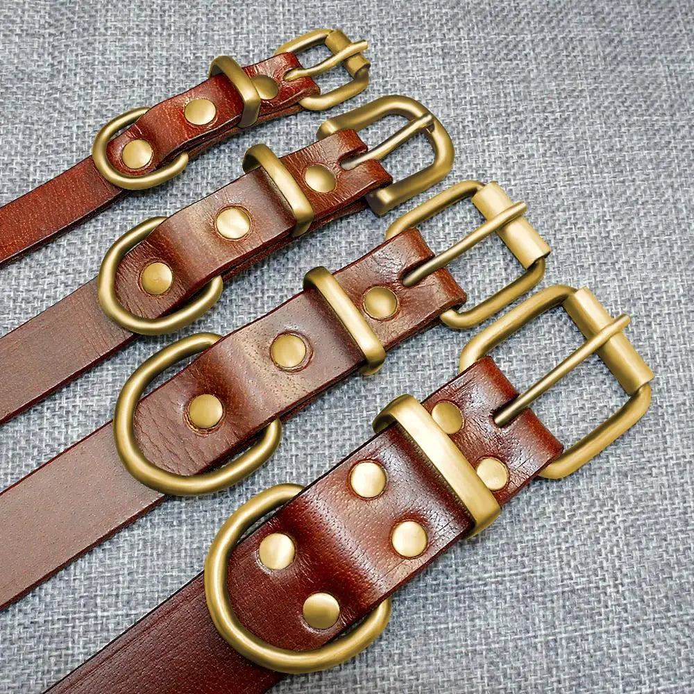 Classic Leather Dog ID Collar - Includes Engraving