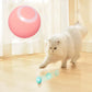 Electric Ball Cat Toy - With Movement & Sound