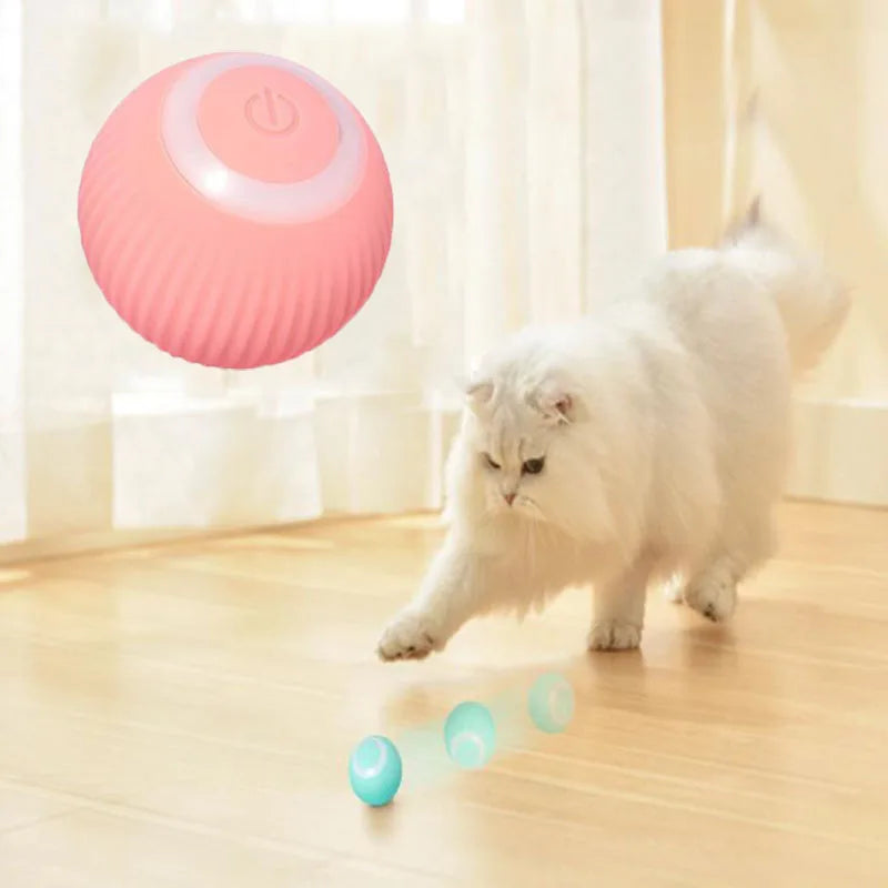 Electric Ball Cat Toy - With Movement & Sound