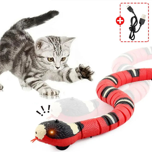 Snake Toy with Smart Sensors - LIMITED RESTOCK!