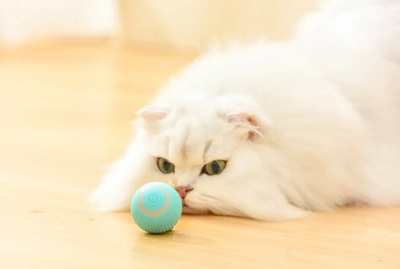 Electric Ball Cat Toy - With Movement & Sound