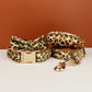 Customisable Leopard Print Dog Collar, Leash, Harness, & Poo Bag Holder sets