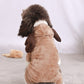 Fleecy Dog Costumes - Various Designs & Sizes