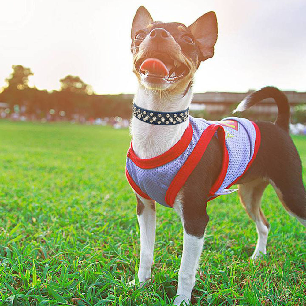 Rivet pet collar - Pet Perfection