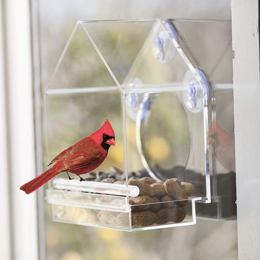 Hanging Acrylic Bird Feeder  - Transparent - Pet Perfection